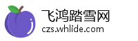 飞鸿踏雪网